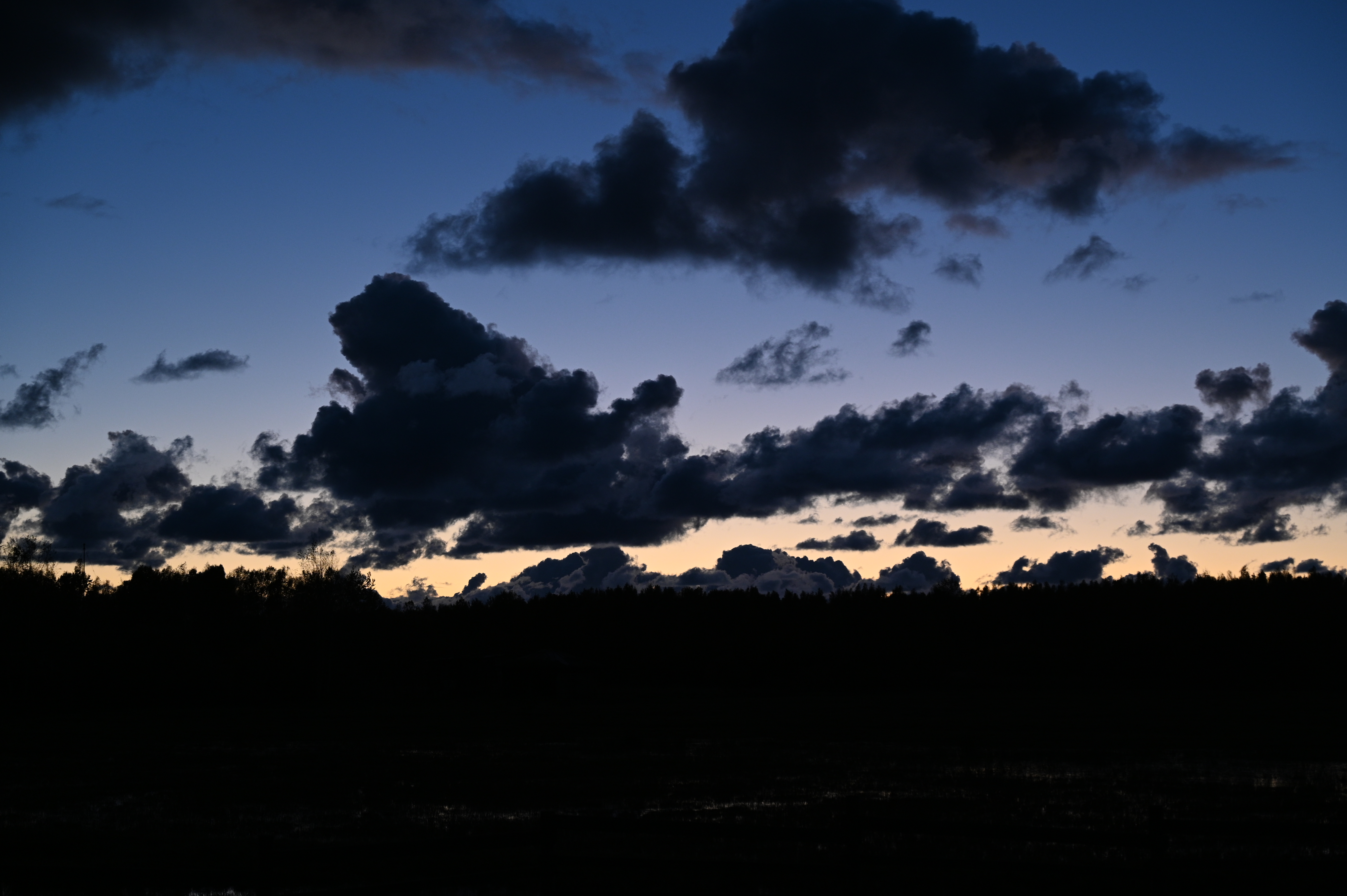 2025/10/18 - walk/DSC_0668.JPG